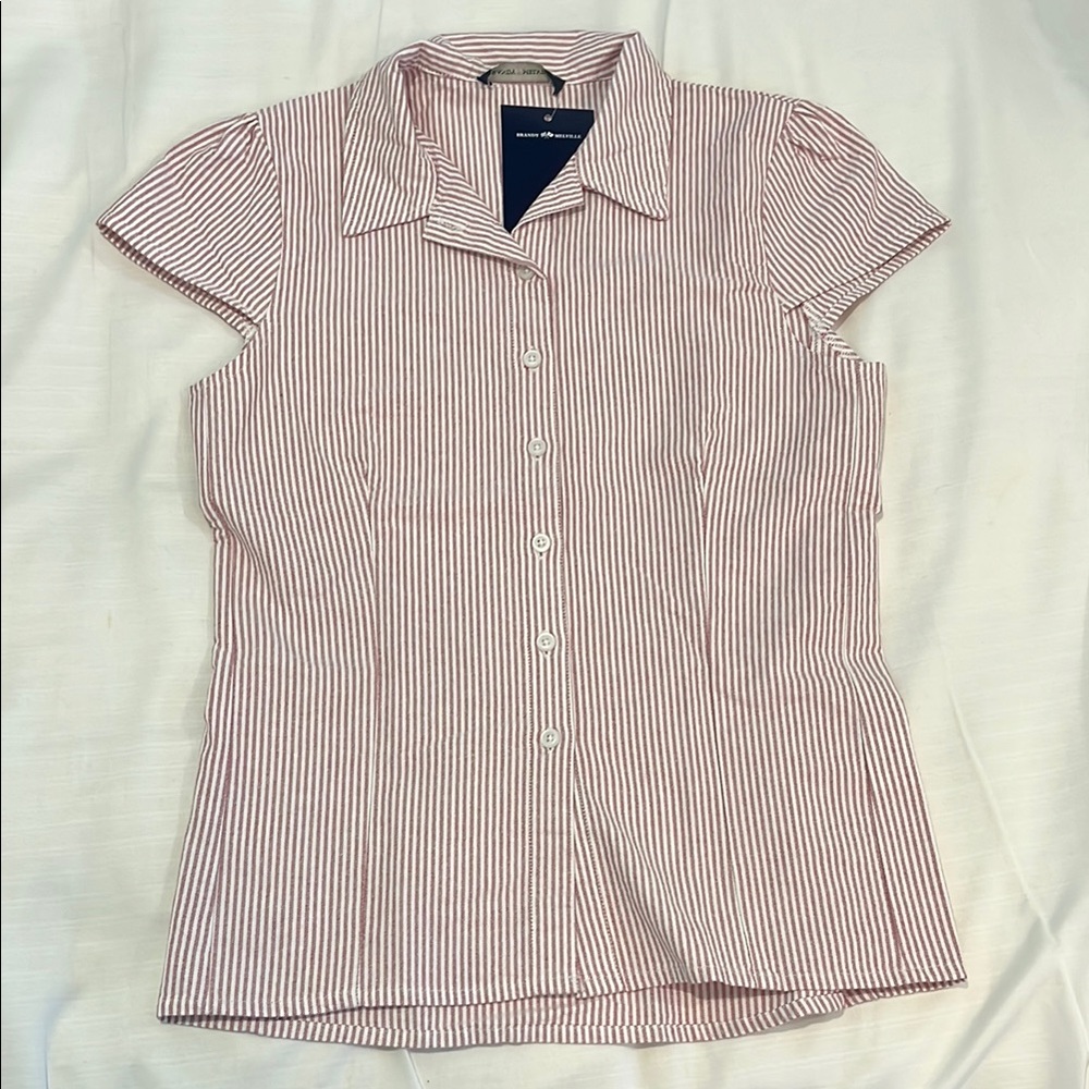 Brandy Melville Striped Button Down Rue Top